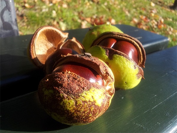 宝宝一百天发朋友圈的文案