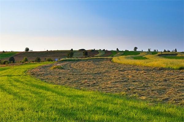 余生很长未来可期的文案锦集64条