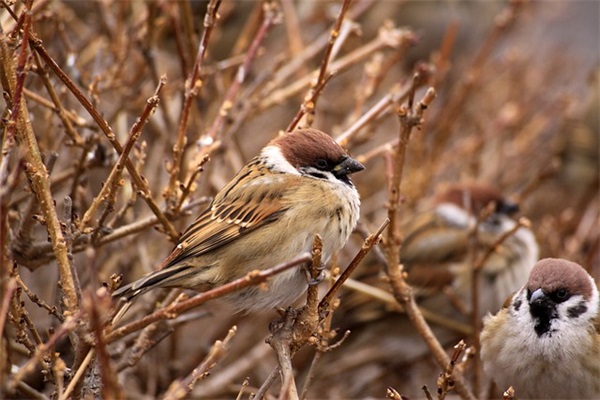 在雨中漫步的浪漫朋友圈文案锦集51条