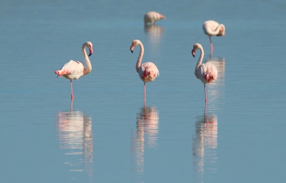 简单有格调的店名 简约ins风店名
