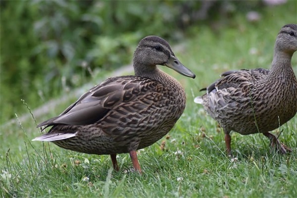 宣布离婚后发的朋友圈分享66条