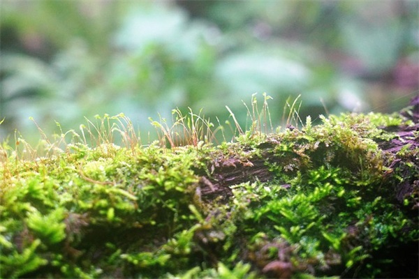 缘分让我们相遇的感恩文案集合