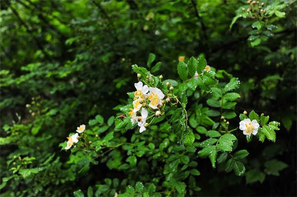 关于夏天炎热适合发的朋友圈文案锦集60条