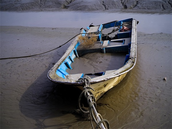 一段浪漫而深情的线上表白文案汇总(52句)