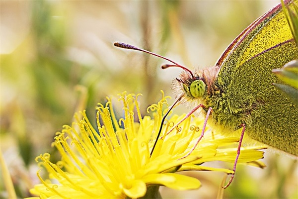 对前途迷茫无助的文案