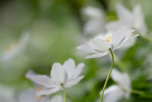 店名大全简短好听 店名取名大全集免费查询