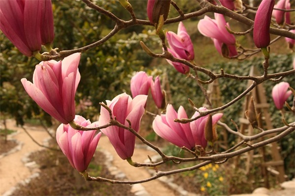 给闺蜜的留言文案简短通用