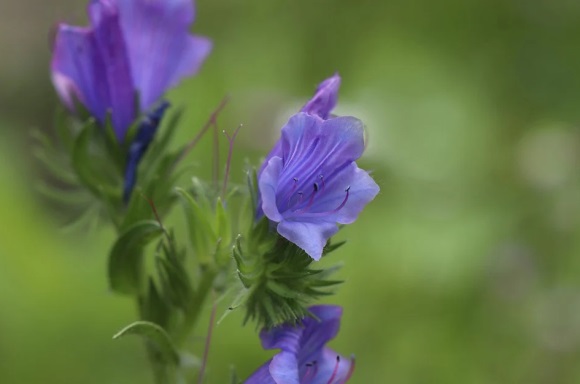 取店名大全免费查询 店铺取名大全最新的