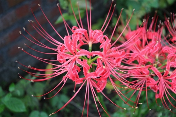 对家人失望心寒朋友圈(摘录49句)