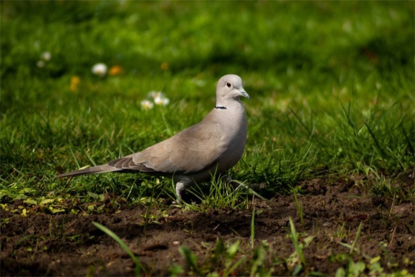 放下一切重新开始的文案锦集50条