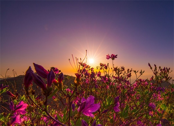 端午节微信图片文案汇总