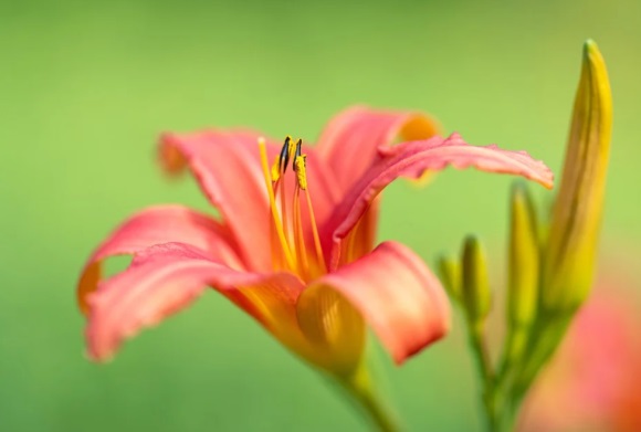 诗经取名男孩虎年宝宝新，虎年出生男宝宝取名大全