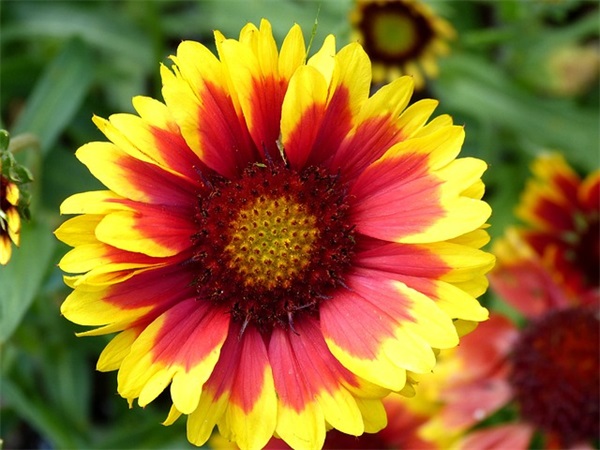 家庭聚餐文案发朋友圈(精选72句)