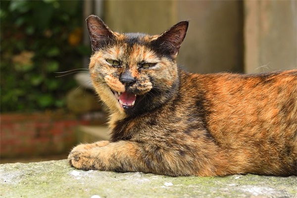 感恩贵人指点的朋友圈经典文案四十句