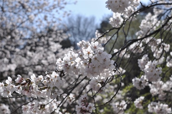 朋友圈发毕业照片的文案(精选85句)