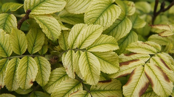 人生经典哲理图片文案66条