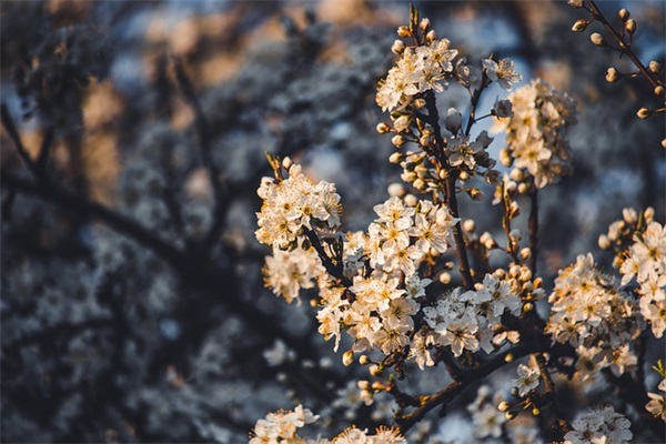 关于放手的经典伤感文案49条