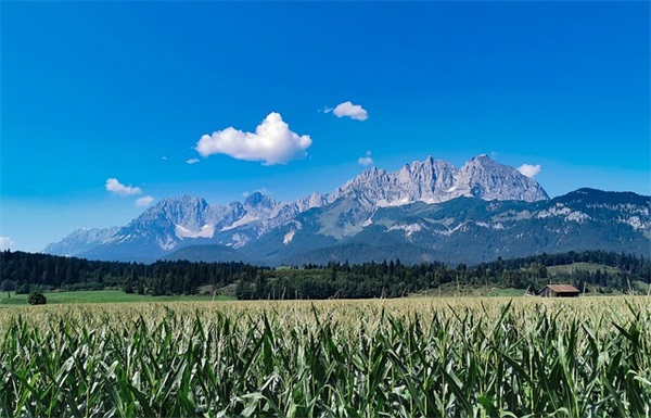 写给老师的贺卡文案热门67句