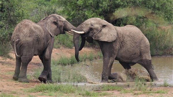 开工大吉的图片文案49句