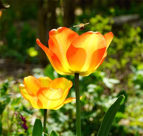 快手超火吐槽工资少得可怜的幽默文案集合(40条)