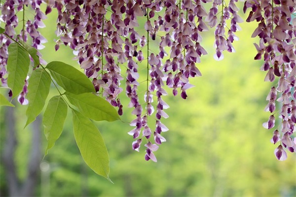 七夕单身文案朋友圈摘录54条