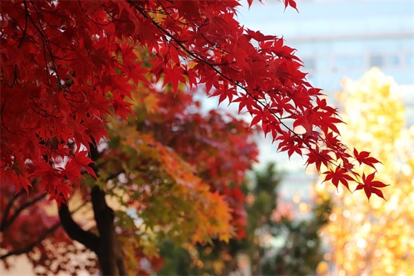 qq飞车伤感名字118句