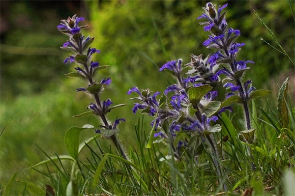 16字超长的微信网名94句