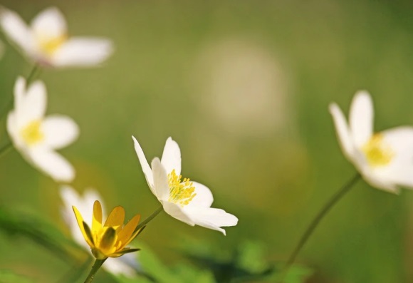 建筑公司名称大全简单大气两个字300个