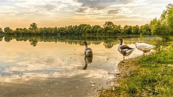 qq非主流空间网名90句