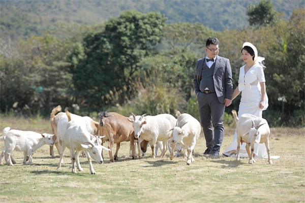 qq性网名女生超拽108句