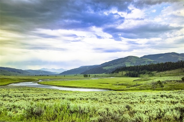 歪歪网名大全95句