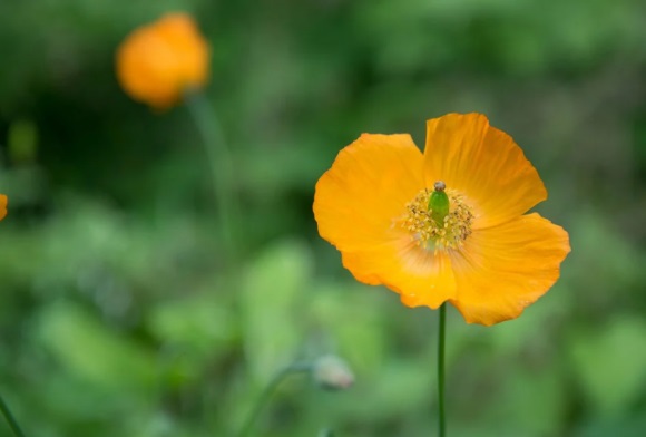 数码店铺取名推荐 绝佳好听的数码店名称