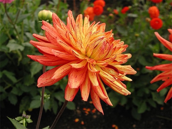 女生qq名字繁体字121句