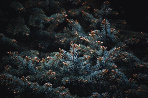 qq名字繁体字伤感85句