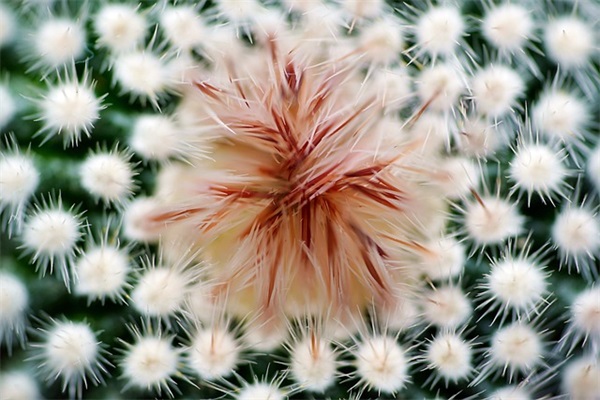 唯美名字古风诗意114句