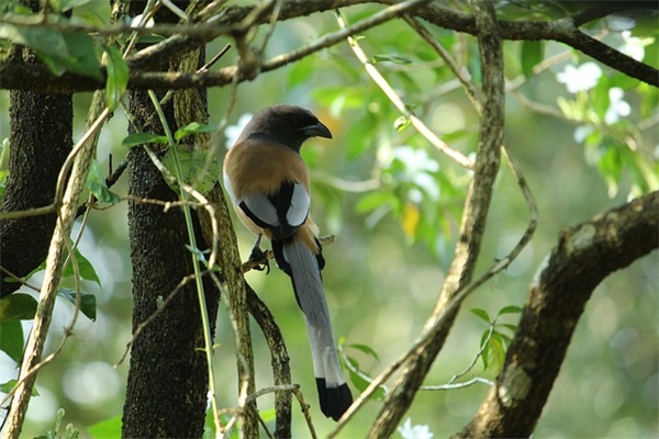 qq女生搞笑超长网名103句