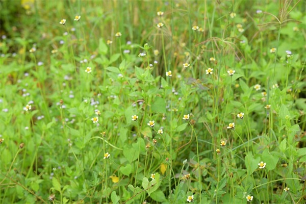 爱情网名男生繁体字90句