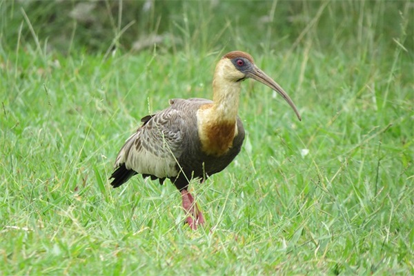 yy名字大全霸气96句