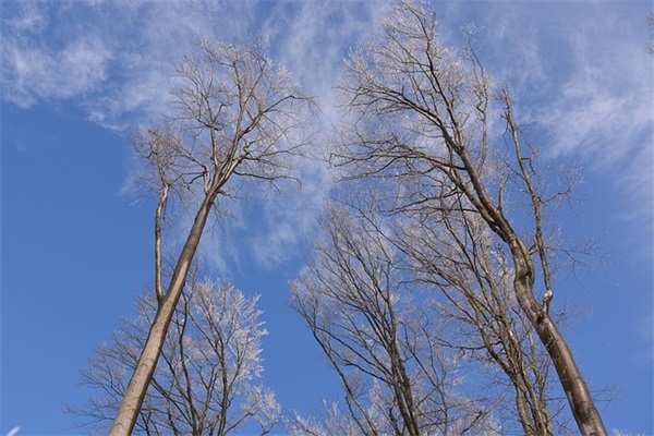 游戏唯美签名大全 游戏战队名字大全唯美