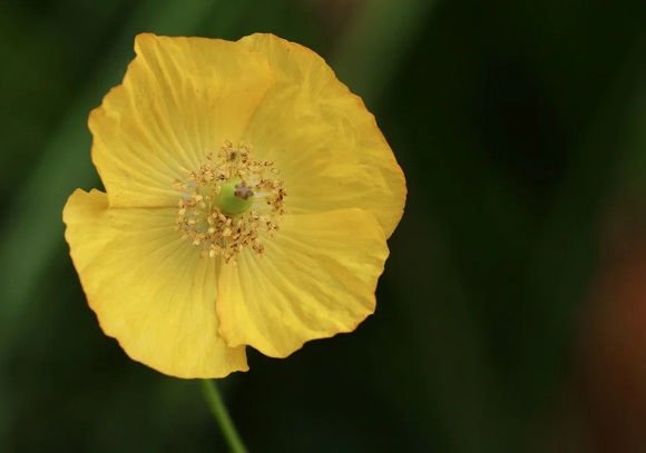 童鞋店过目不忘的店名373个