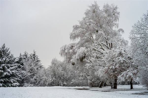伤感繁体字网名带符号88句