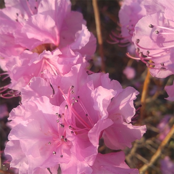 qq空间名字女生励志98句