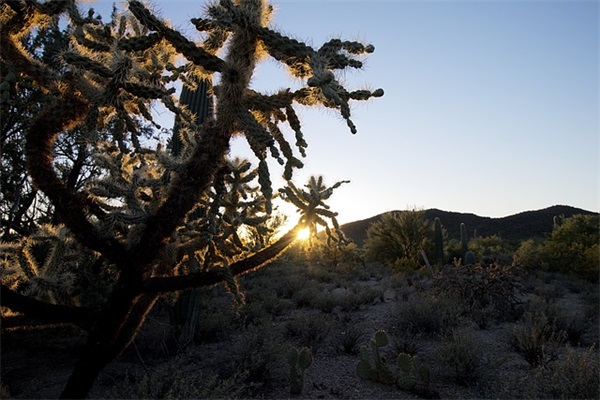 2025年经典的伤感网名109句