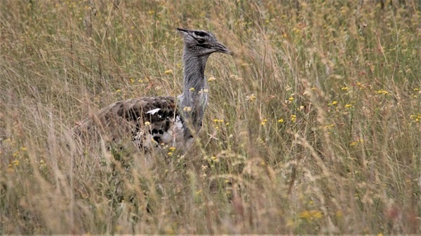 qq飞车男生唯美名字110句