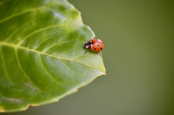 养生取什么店名生意红火260个