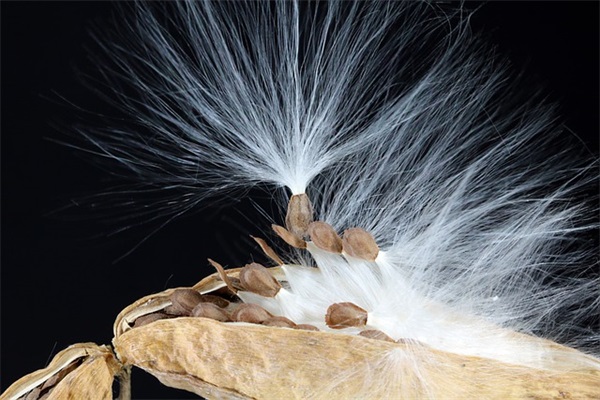 qq2025年最新女生网名88句