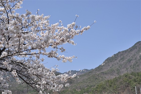 伤感的qq名字男孩97句