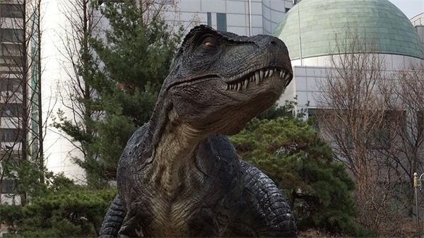 被爱情伤过的网名91句