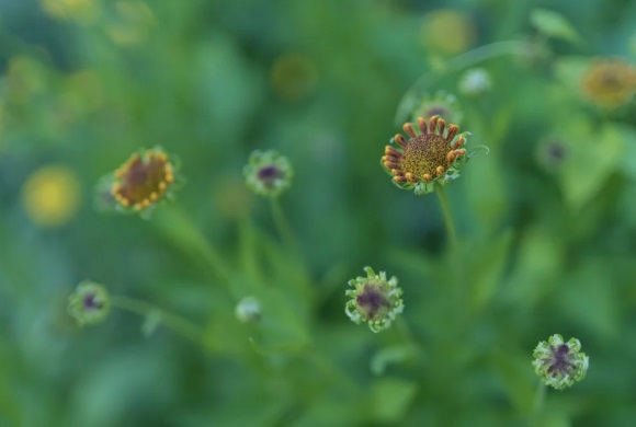 店铺起名网免费取名优秀350个