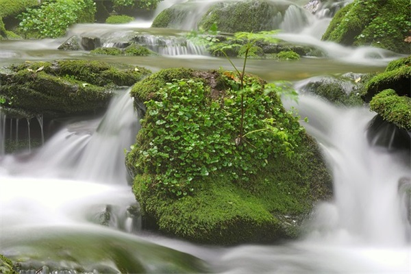 致女孩子的语录2025 女孩漂亮有涵养的名字